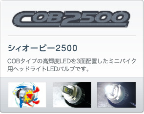 シィオービー2500