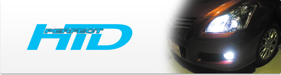 パーフェクトHID