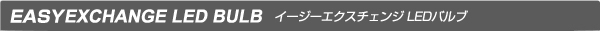 D2R/D2S D4R/D4S イージーエクスチェンジ LEDユニット LEDヘッドライト