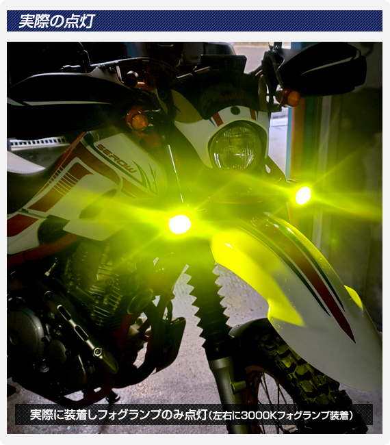 デルタダイレクト MOTO LED ZERO 12V フォグランプ .:. 株式会社デルタ .:.